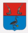 Укажите название организации.
